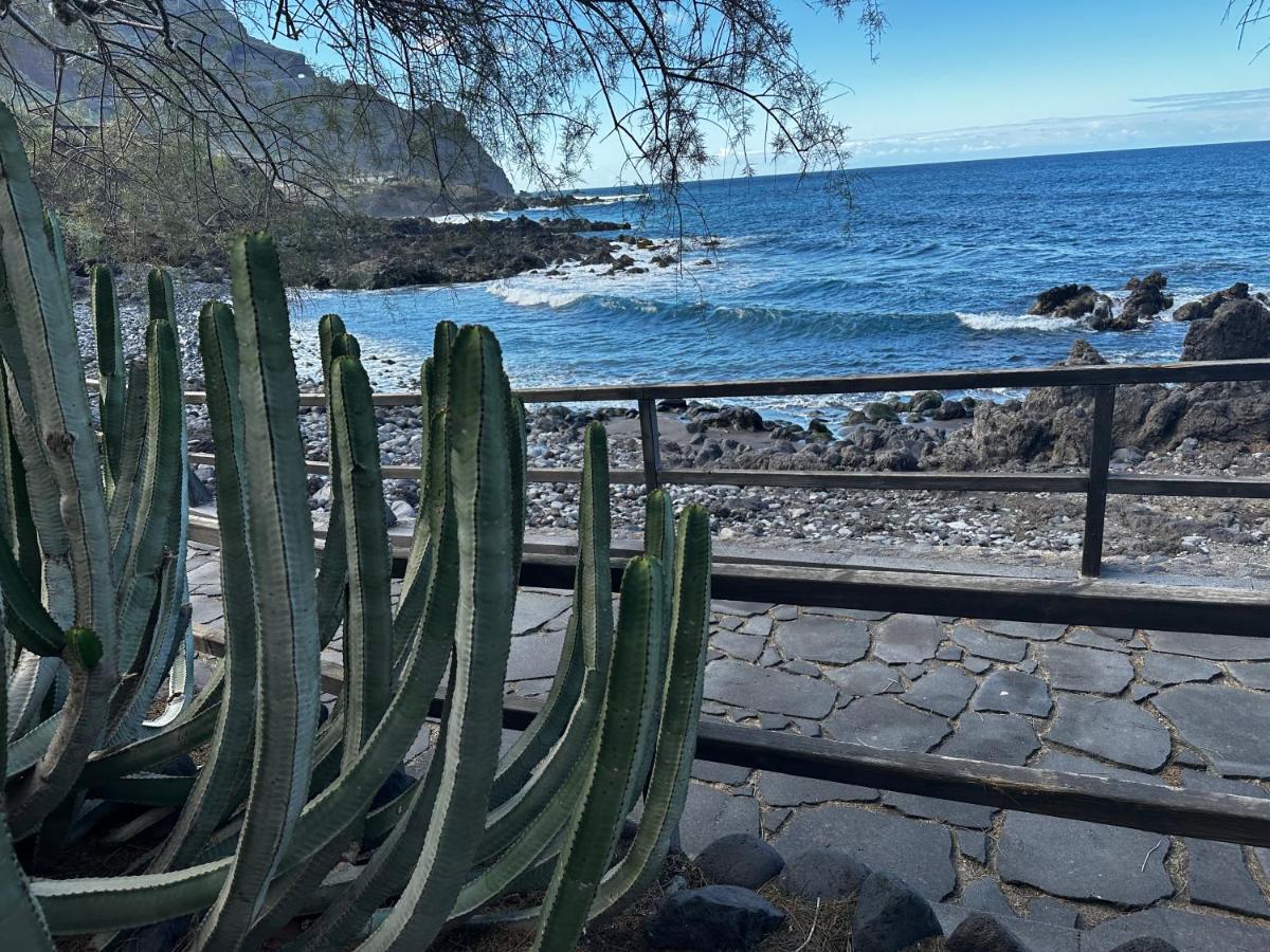 Maravilla En Buenavista 布埃纳维斯塔城北 外观 照片